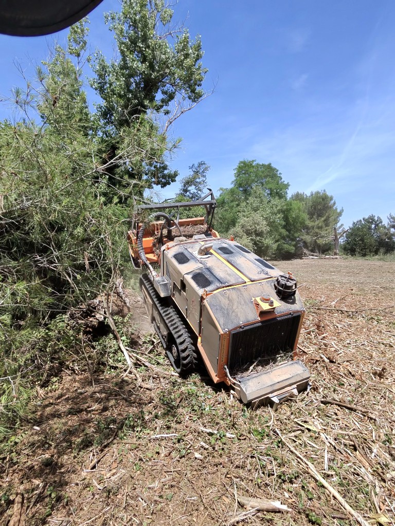 Broyage forestier et débroussaillage mécanique en zone boisée