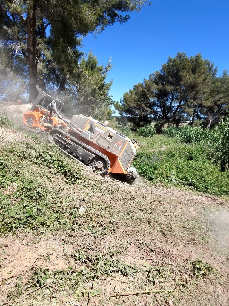 Robot broyeur FAE RCU-55 en action sur un talus escarpé